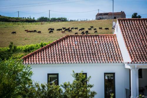 Bed & Breakfast Cambeiros - Guest House