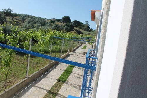 Agroturismo Quinta Ribeiro Tanquinhos