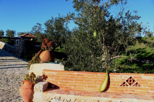 Agroturismo Quinta Ribeiro Tanquinhos