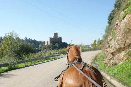 Agroturismo Quinta Ribeiro Tanquinhos