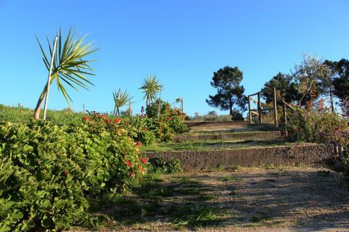 Agroturismo Quinta Ribeiro Tanquinhos