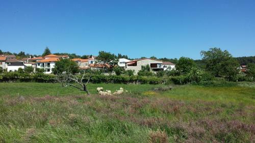 Agroturismo Casas de Campo Da Barroca