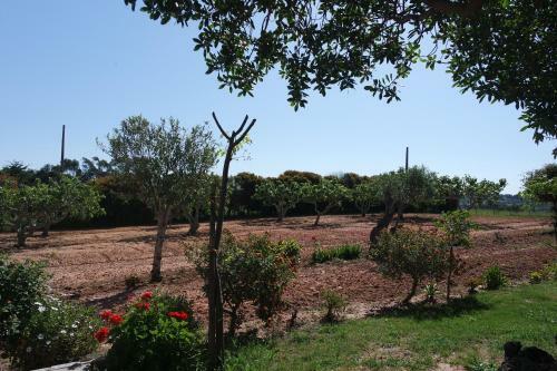 E - Countryside Guesthouse 2 Bed Apartment