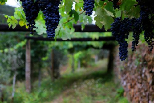 Agroturismo Quinta de Gildinho