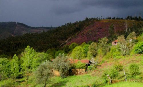 Agroturismo Quinta de Gildinho
