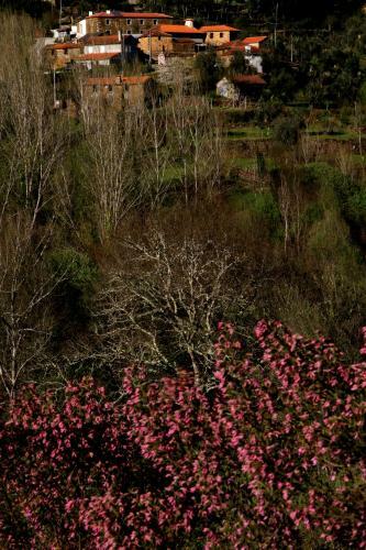 Agroturismo Quinta de Gildinho