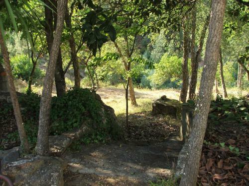Apartamento Ch�o Da Lousa