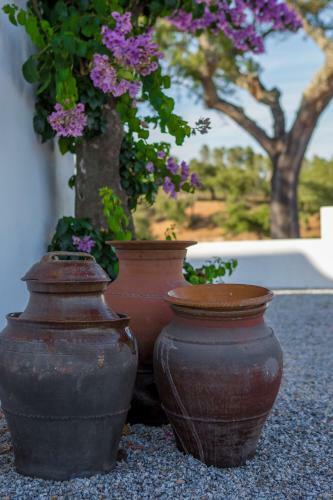 Agroturismo Monte Das Texugueiras