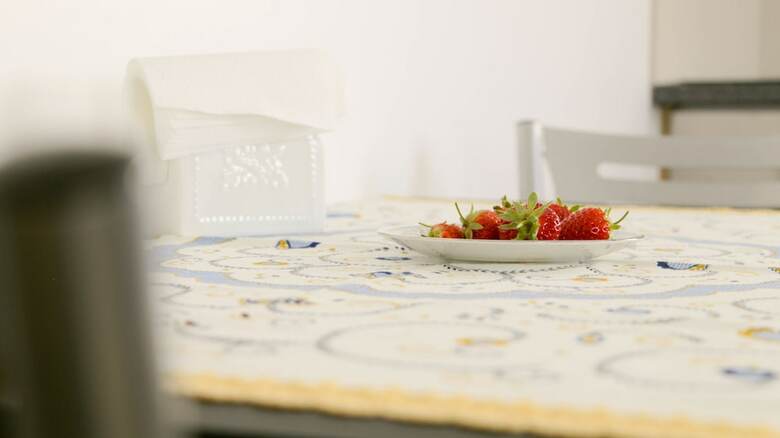 Hostal Mocho Guesthouse