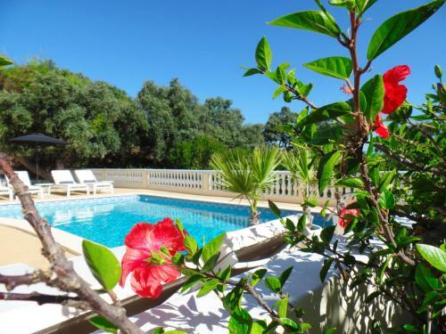 Bed & Breakfast Panoramic Paradise