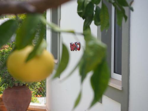 Bed & Breakfast Casa Ol�andro By Flo