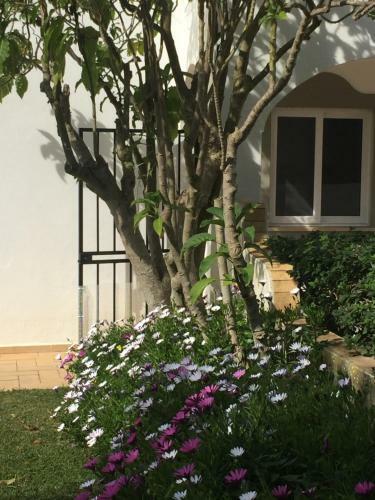 Bed & Breakfast Casa Ol�andro By Flo