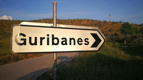 Casa De Guribanes