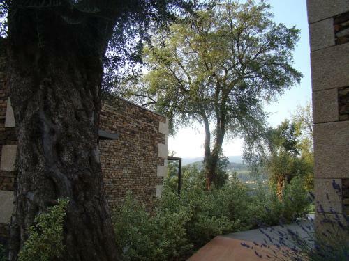 Agroturismo Bosque Da Harmonia
