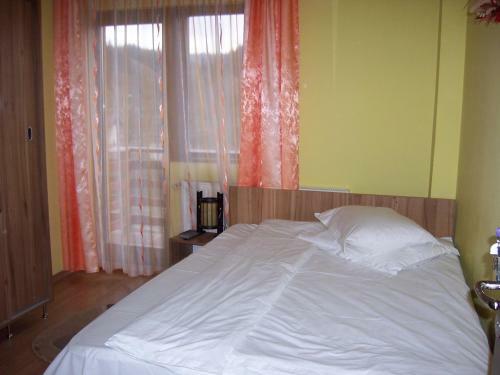 Hostal Pensiunea Roua Diminetilor
