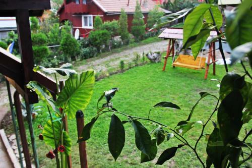 Villa Panaite?s Home