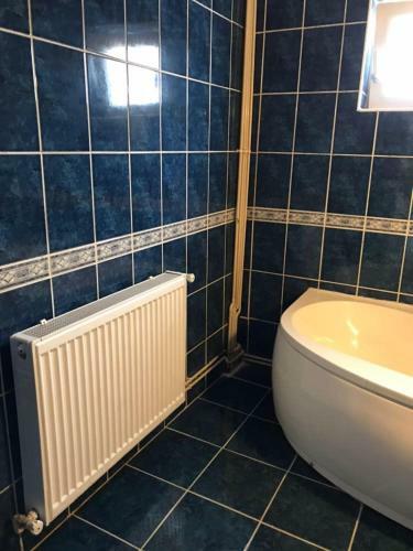 Hostal Pensiunea Sabina Predeal