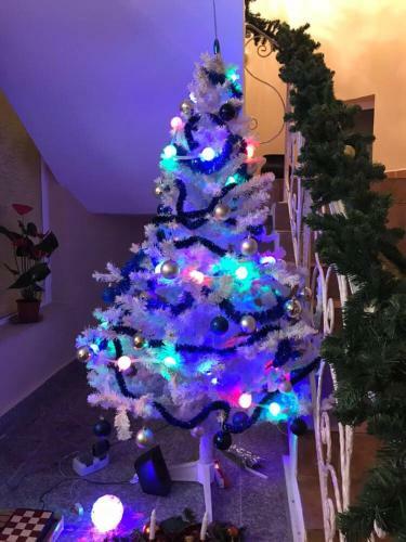 Hostal Pensiunea Sabina Predeal