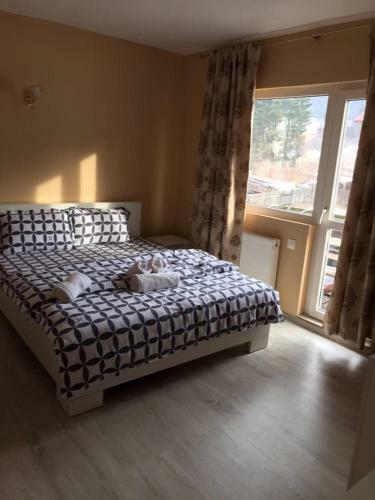 Hostal Pensiunea Sabina Predeal