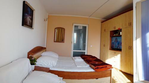 Hostal Pensiunea Ilinca
