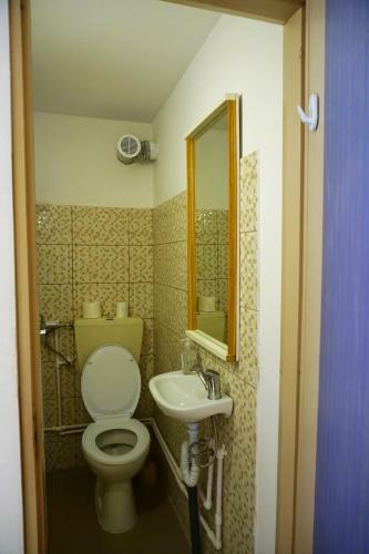 Hostal Pensiunea Ilinca