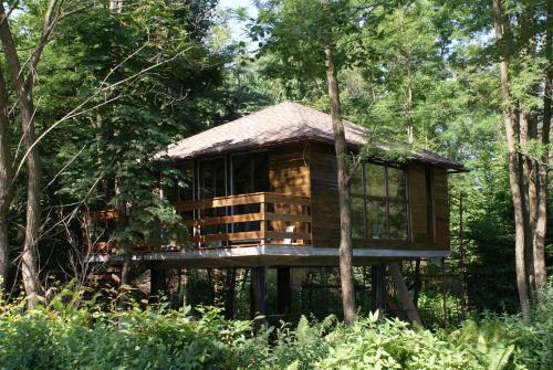 Porumbacu Treehouse