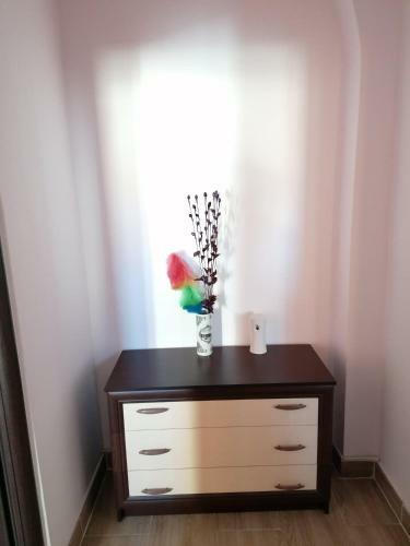 Apartament Alexandru