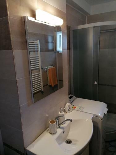 Apartament Alexandru