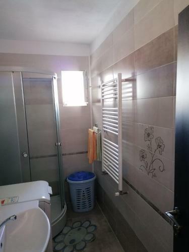 Apartament Alexandru