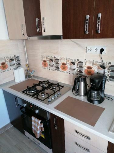 Apartament Alexandru