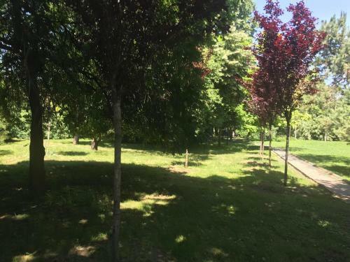 Apartamento Bucharest Tei Studio