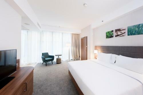 Hotel Hilton Garden Inn Bucharest