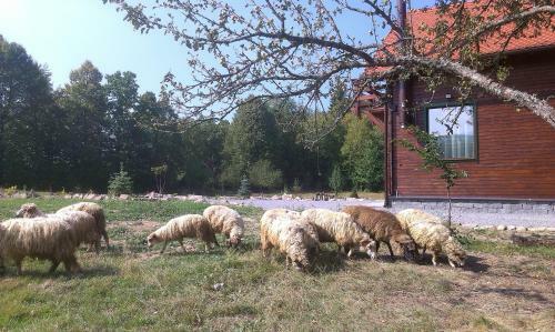 Csendes B�kk Kulcsosh�z