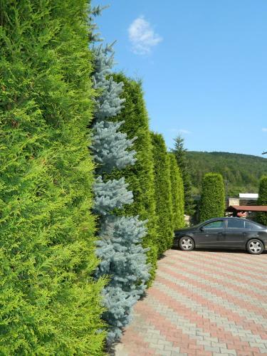 Hostal Pensiunea Madalina