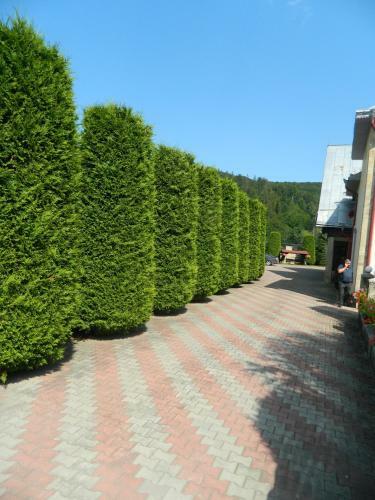 Hostal Pensiunea Madalina