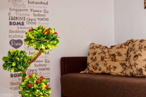 Apartament Black Sea