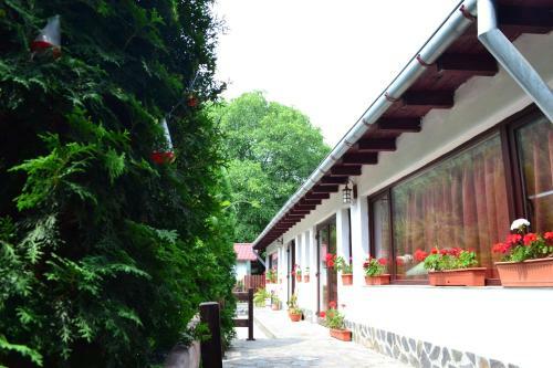 Hostal Pensiunea Amada