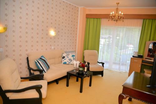 Atrium Hotel Mountain View Predeal