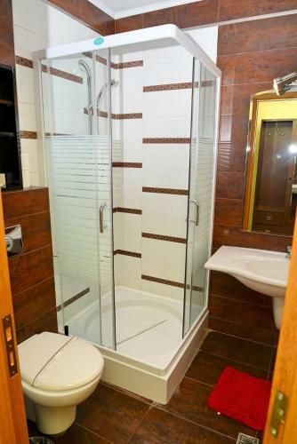 Atrium Hotel Mountain View Predeal
