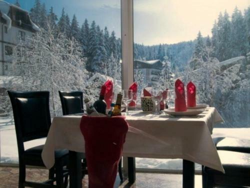 Atrium Hotel Mountain View Predeal