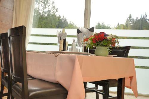 Atrium Hotel Mountain View Predeal