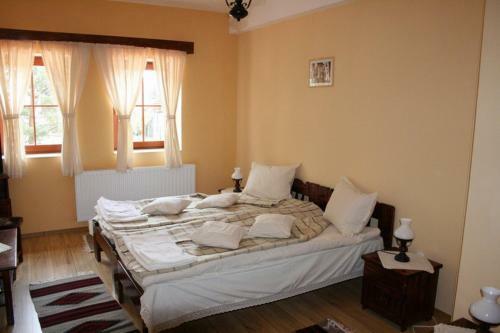 Hostal Pensiunea Tulipan