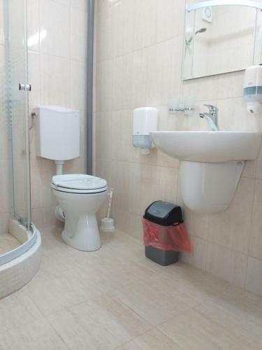 Hostal Pensiunea Ewe