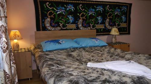 Hostal Acasa In Maramures