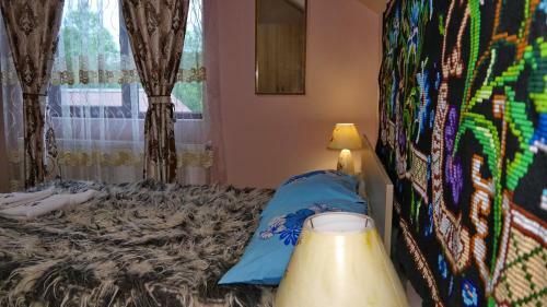 Hostal Acasa In Maramures
