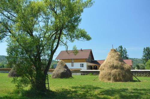 Hostal Acasa In Maramures