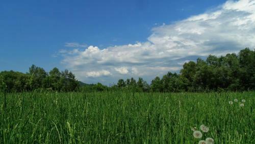 Hostal Acasa In Maramures