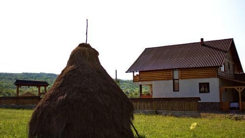 Hostal Acasa In Maramures