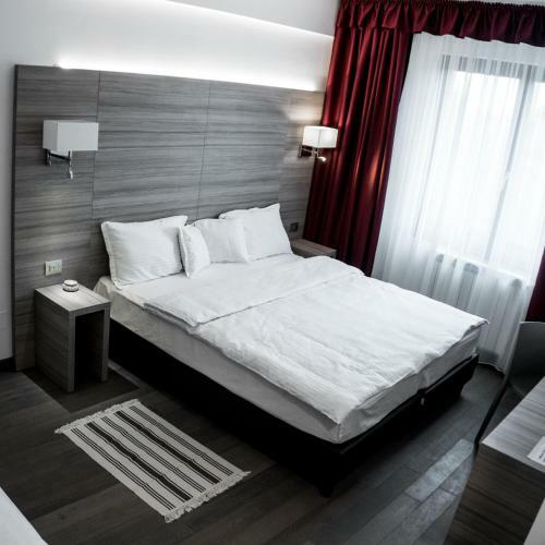 Hotel Pensiunea Negoiu