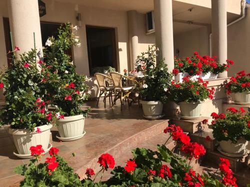 Hostal Villa Brussels
